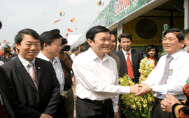 Lễ hội tôn vinh cây chè đất Tổ